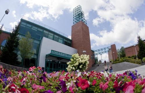 纽约州立大学宾汉姆顿分校