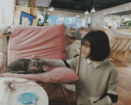 Claudia He,石室剑桥高中2020届毕业生 Claudia He,石室剑桥高中2020届毕业生